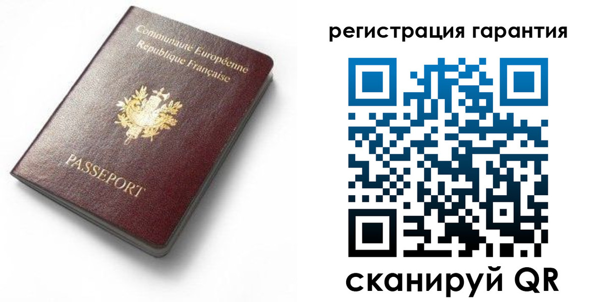 прописка для школы в Александрове